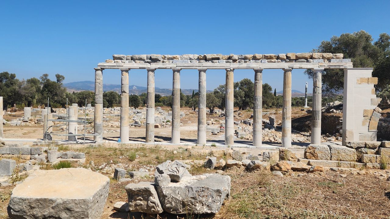 Ege’nin Sessiz Tanığı: Teos Antik Kenti’nde Zamanın İzleri – Birlik Haber Ajansı