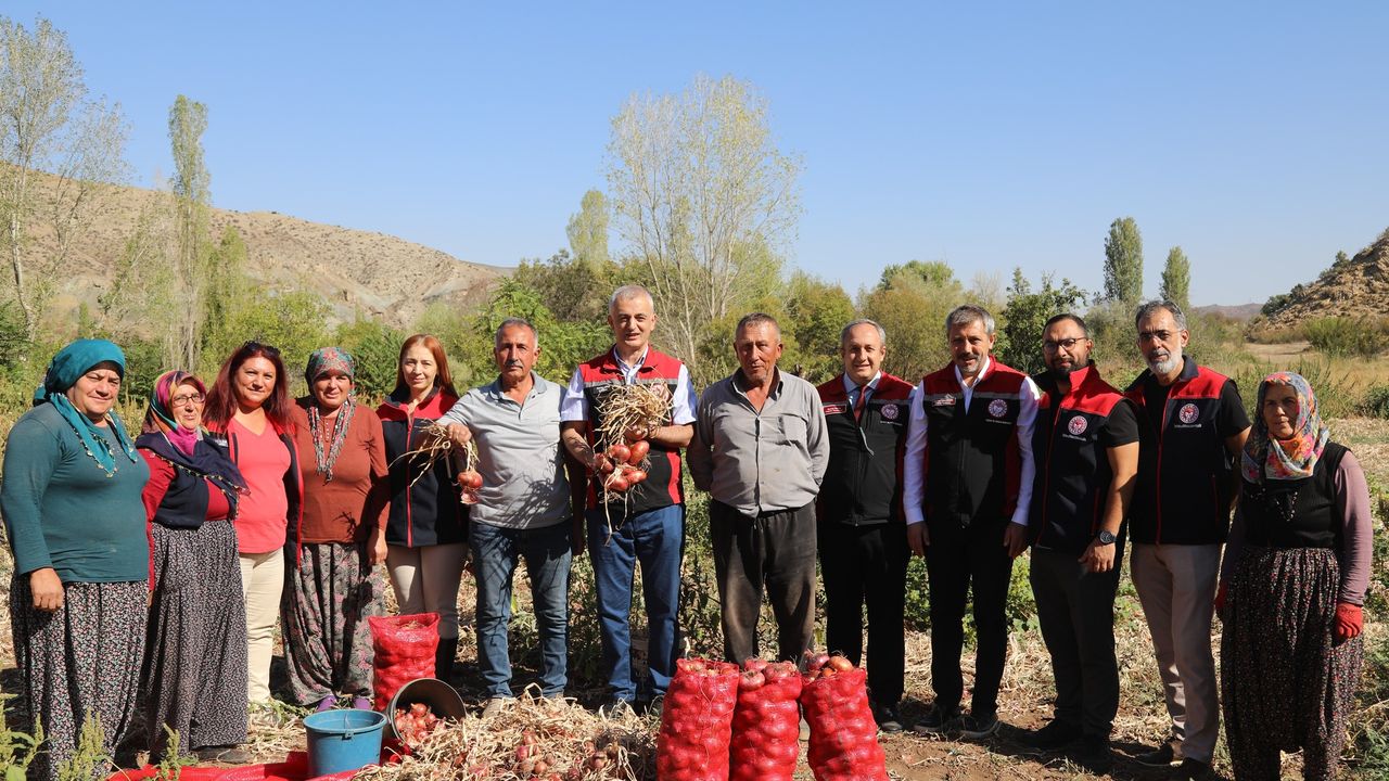 Kılıçlar Soğanında verim üreticiyi sevindirdi – Birlik Haber Ajansı