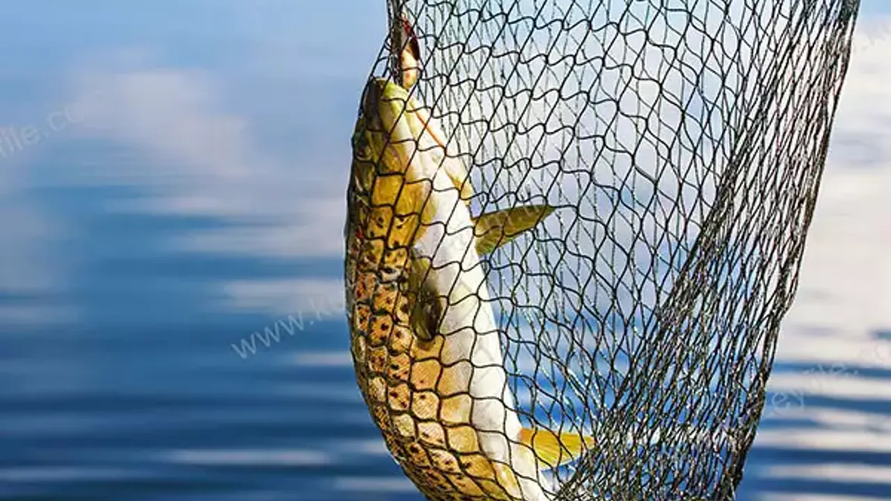 Av yasağı sona erdi, tezgahlar balıkla şenlendi