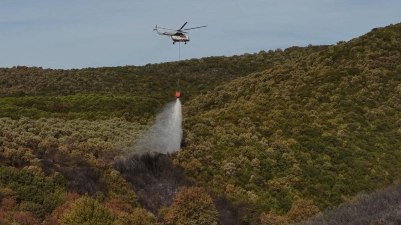 Bursa’da orman yangını kontrol altına alındı – Birlik Haber Ajansı