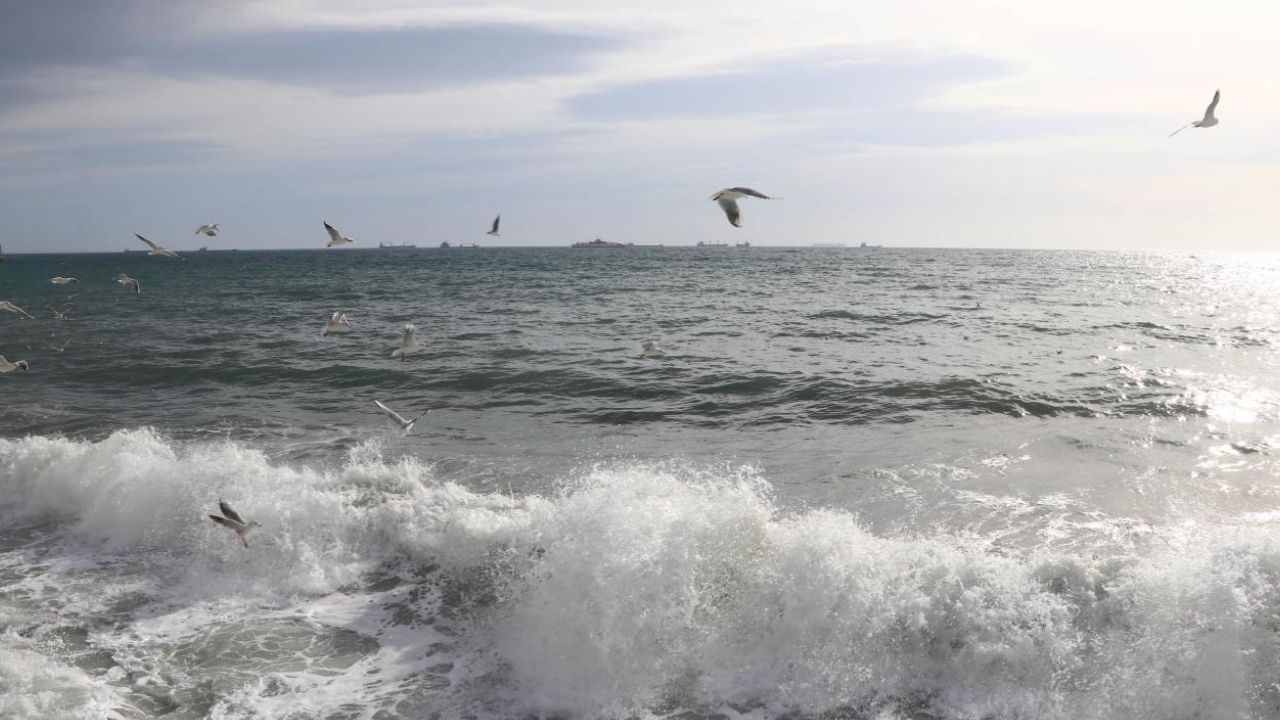 Marmara kıyılarında 1,6 milyon kişi iklim riski altında – Birlik Haber Ajansı