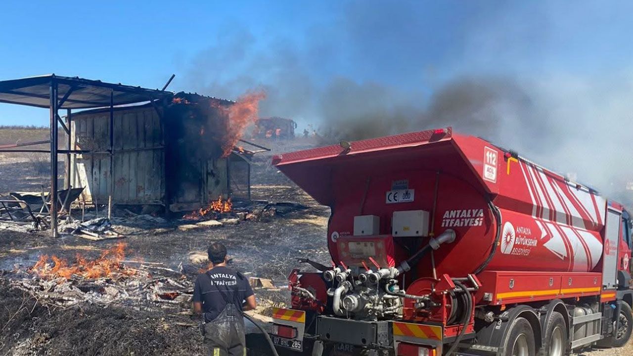 Kulübede yangın! 25 güvercin yanarak can verdi – Birlik Haber Ajansı