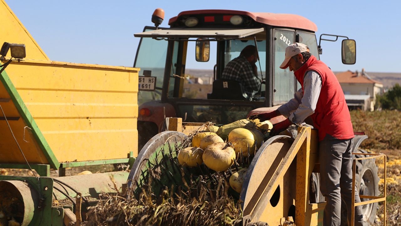 Isparta’da kabak sezonu başladı – Birlik Haber Ajansı