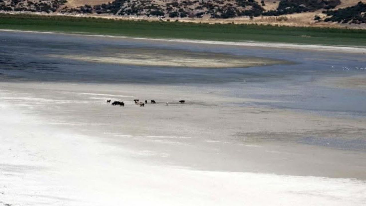 Isparta Eğirdir gölü doğanın insafına kaldı – Birlik Haber Ajansı