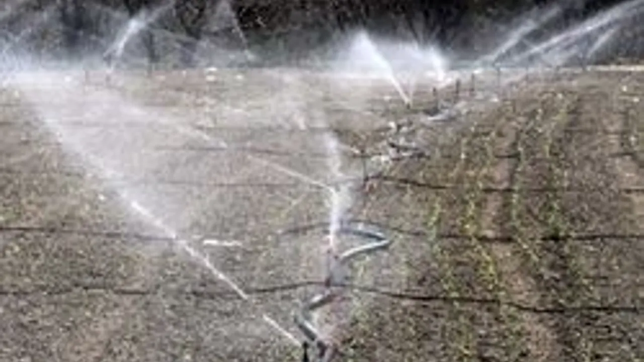 Ziraat Odası Başkanı Mustafa Ateş: Damla sulamaya geçmeliyiz – Birlik Haber Ajansı