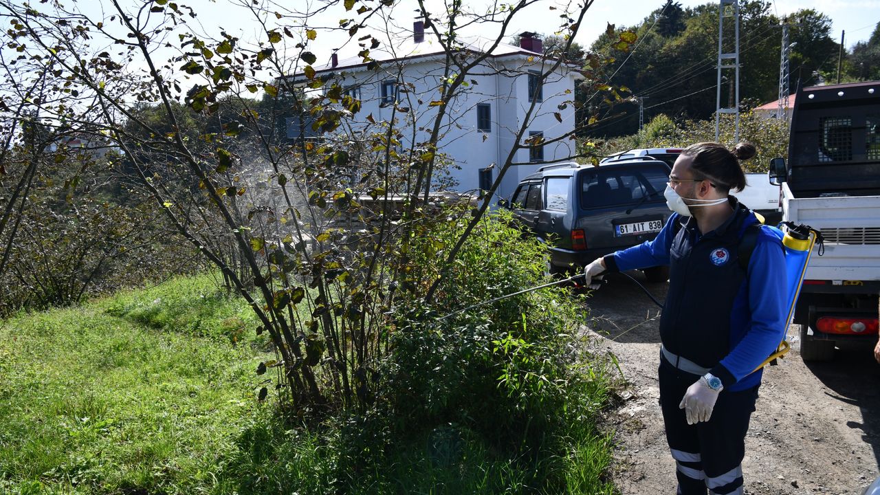 Trabzon’da kahverengi kokarca böceğiyle mücadele kapsamında 9 ilçede ilaçlama çalışmalarını sürdürüyor – Birlik Haber Ajansı