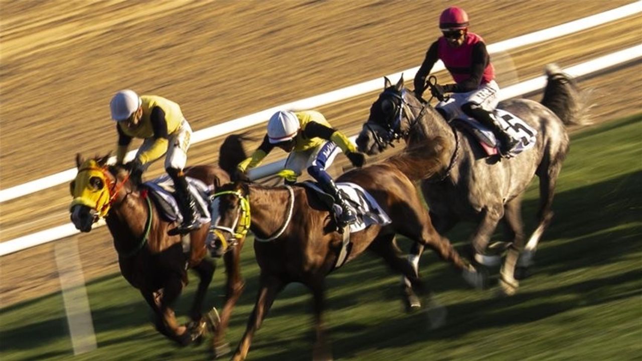 87. Cumhurbaşkanlığı Koşusu’nu Grande Flusso kazandı – Birlik Haber Ajansı