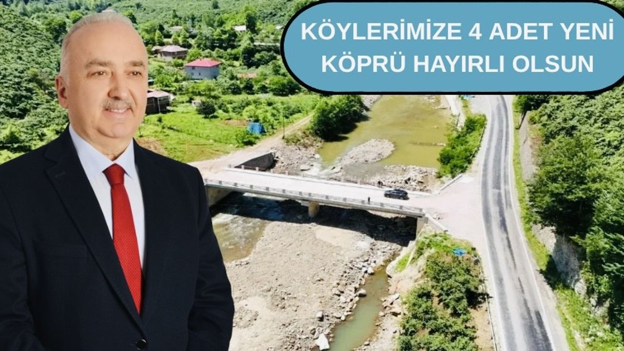 Milletvekili Ali Temür köprü ve yolların yapılacağını açıkladı – Birlik Haber Ajansı