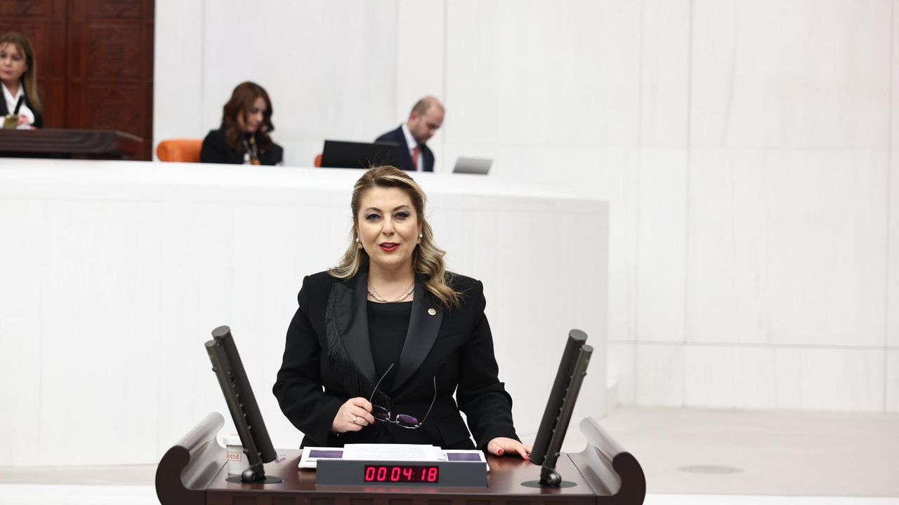 Elvan Işık Gezmiş Giresun’un ulaşım sorunlarını sordu – Birlik Haber Ajansı