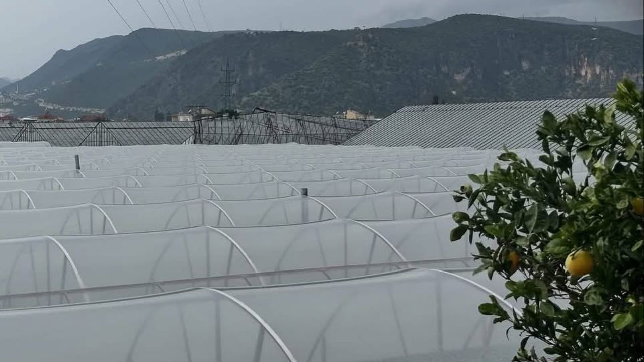 Antalya Demre’de hortum seraları vurdu – Birlik Haber Ajansı