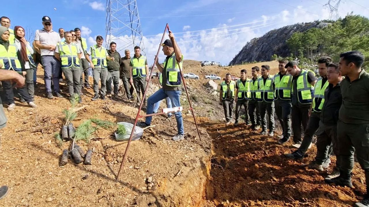 Silvikültür ve ağaçlandırma eğitimleri Antalya’da başladı – Birlik Haber Ajansı