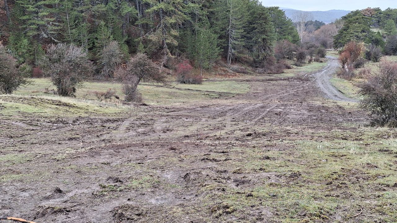 Belediye Kızak şenliği yapılacak pistte düzenleme yaptı – Birlik Haber Ajansı