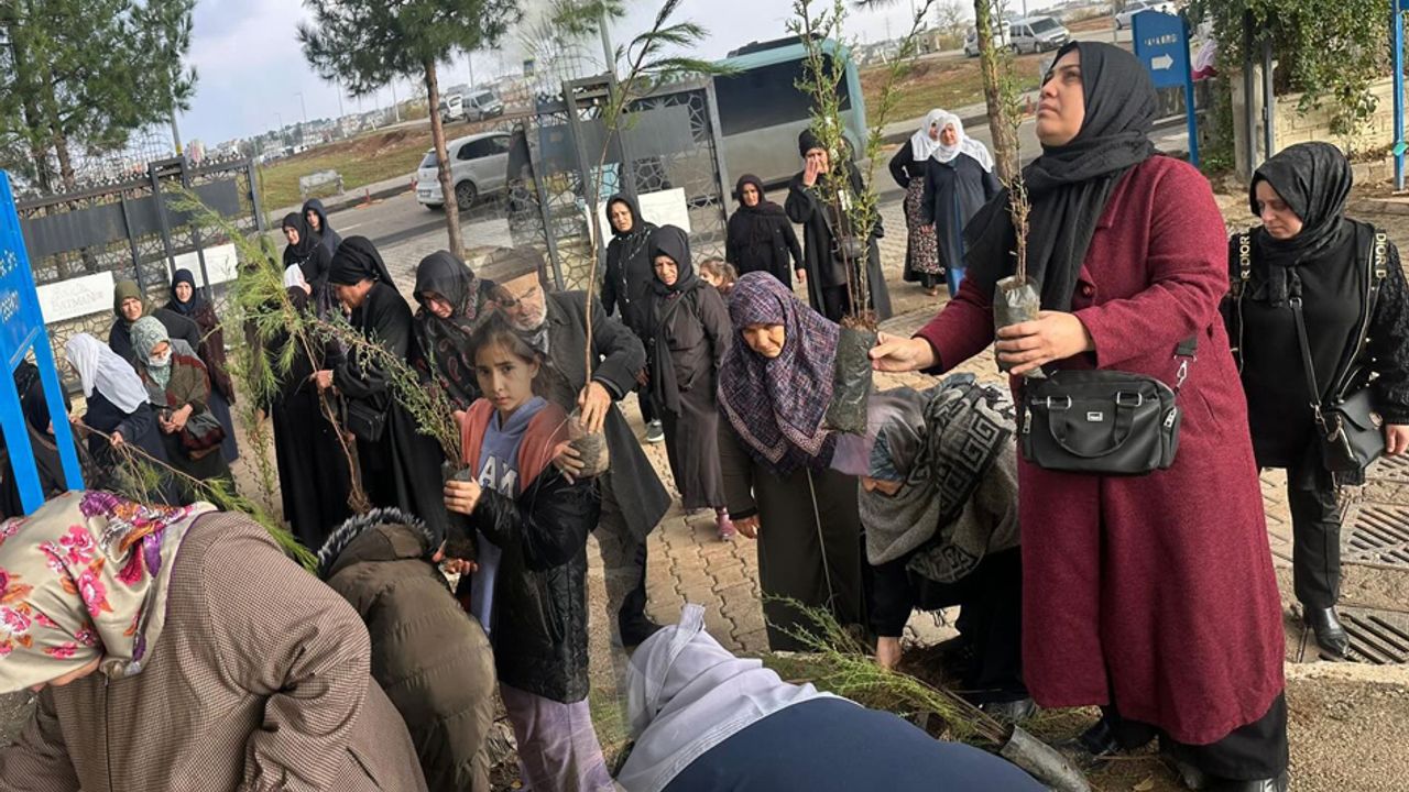 Batman’a ücretsiz fidan dağıtımı – Birlik Haber Ajansı