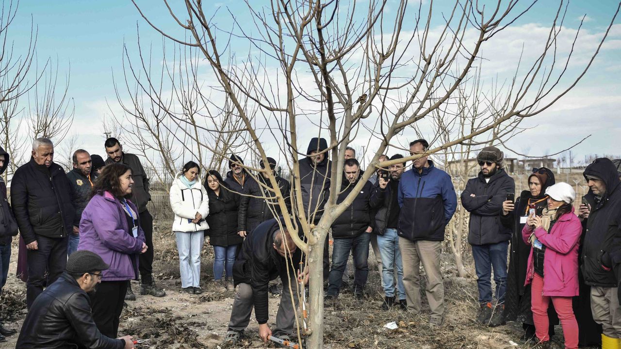 ABB’den meyve ağaçlarının gelişimine destek – Birlik Haber Ajansı