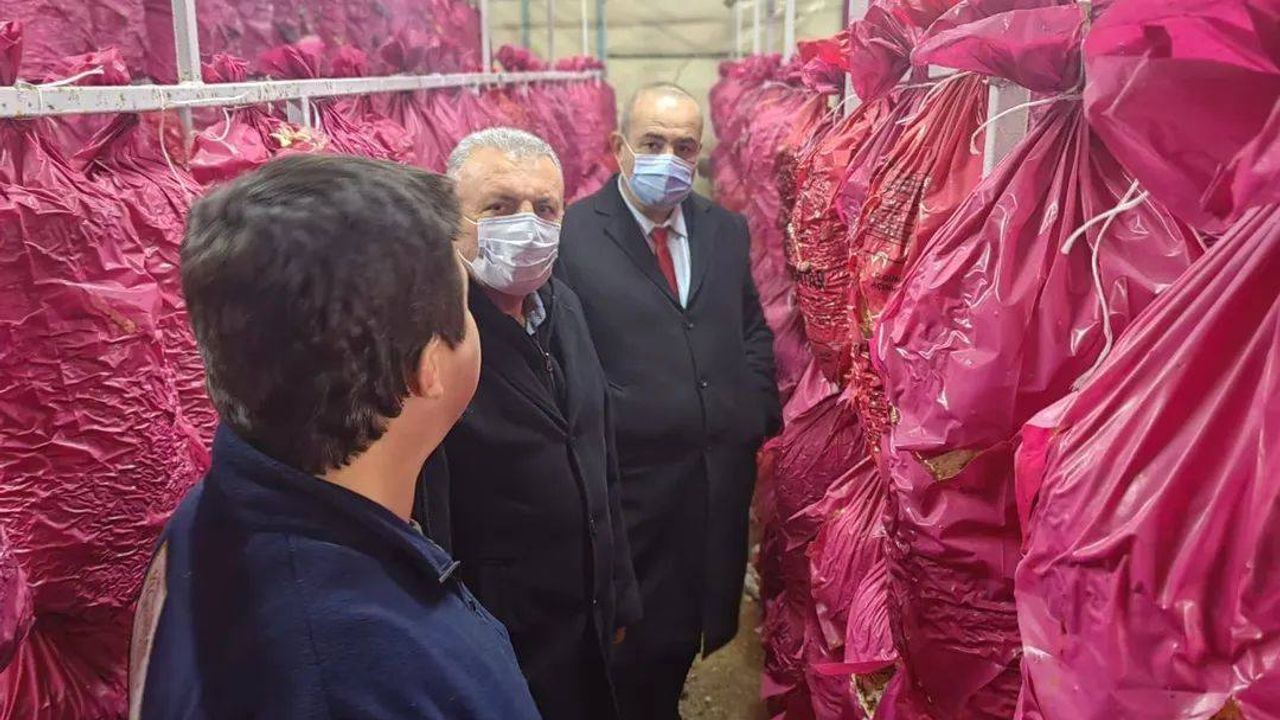 Mantarcılık kursunda teori ve uygulama buluştu – Birlik Haber Ajansı