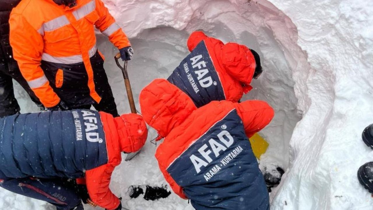 Artvin’de çığda kaybolan çoban 4 gündür aranıyor – Birlik Haber Ajansı