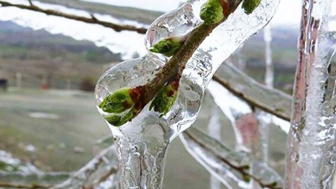 Antalya’da yayla dondu – Birlik Haber Ajansı