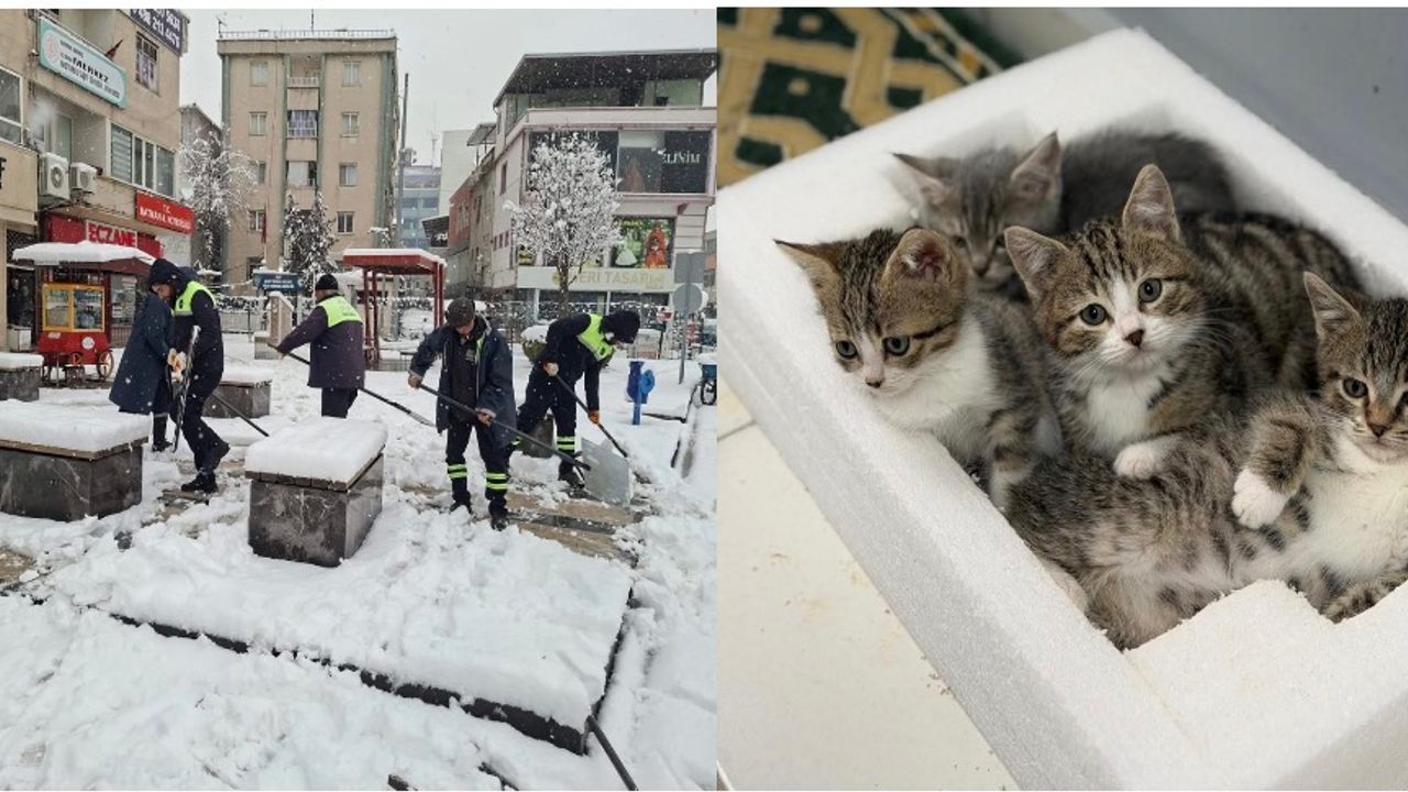 Belediye emekçileri yoğun kar yağışına karşı seferber oldu – Birlik Haber Ajansı