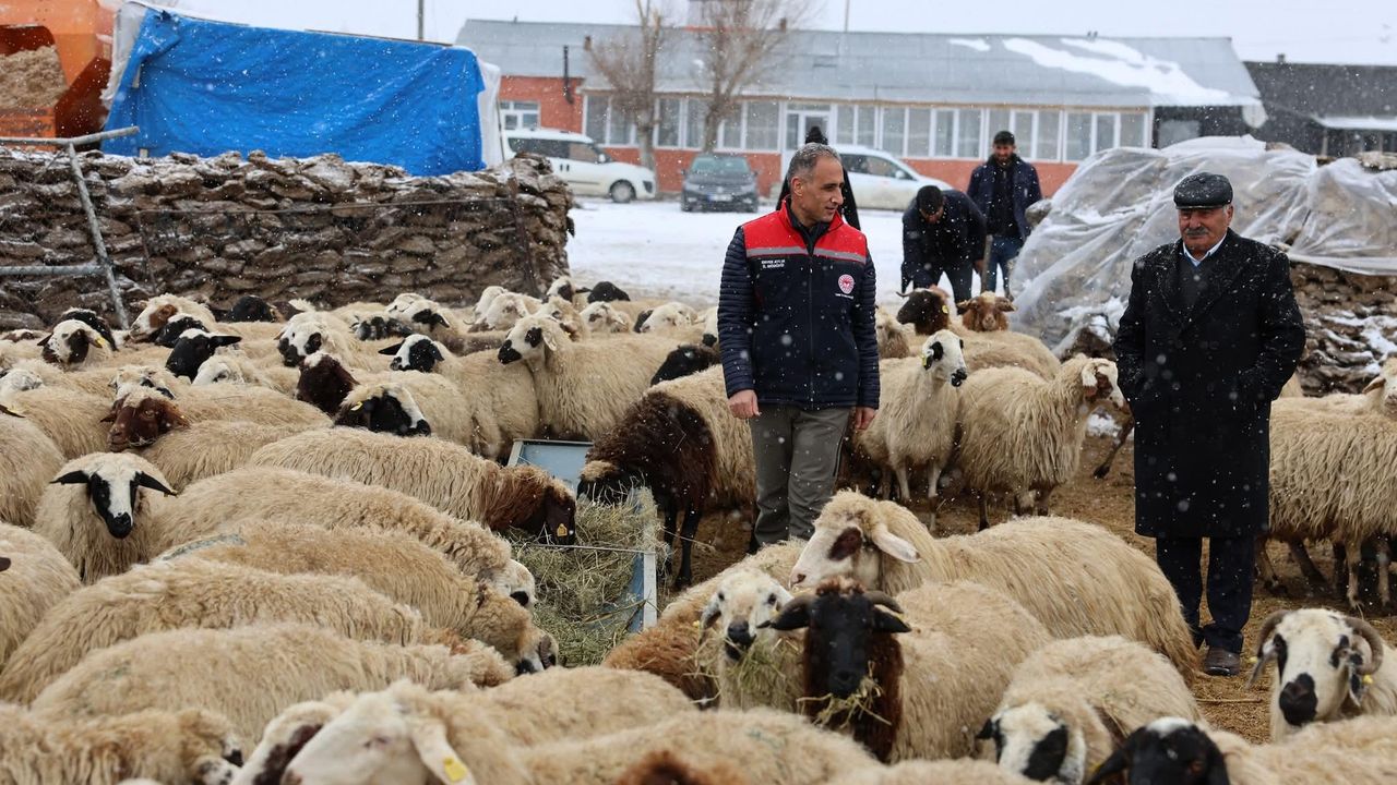 Arpaçay, Akçalar Köyü’nde yeni yılın ilk doğumları başladı – Birlik Haber Ajansı