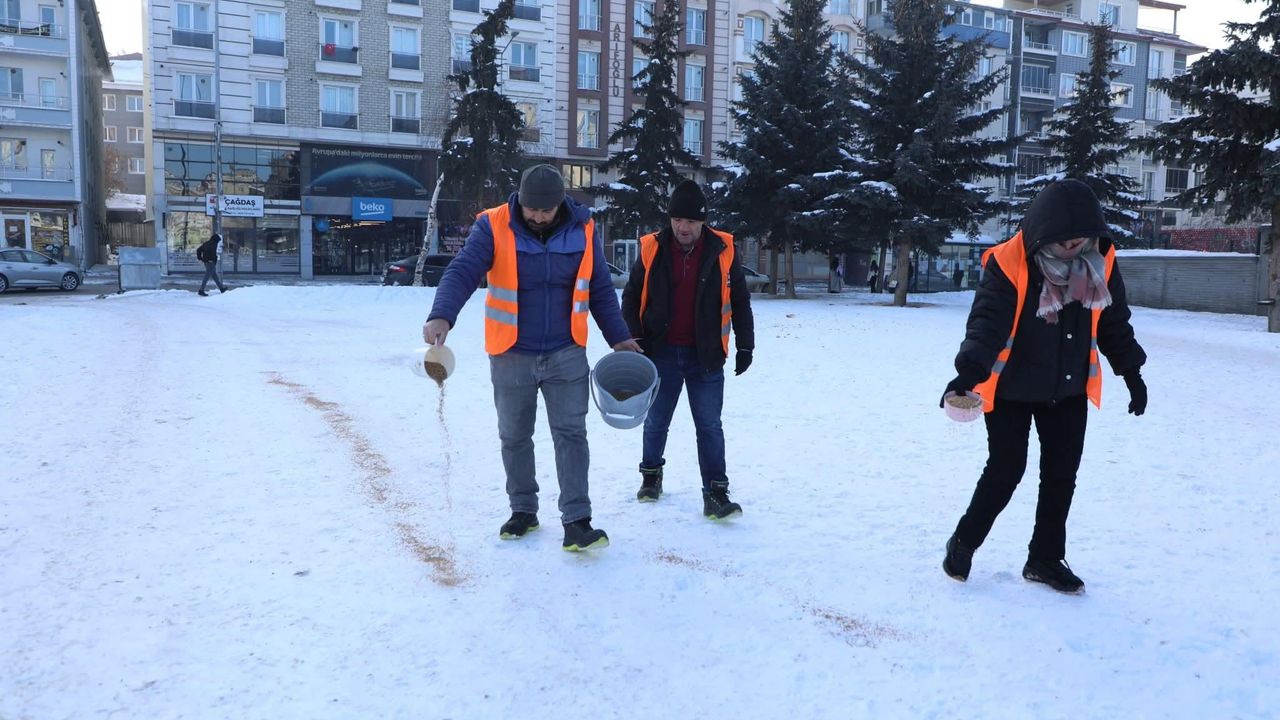 Kars Belediyesi’nden şefkat eli: Kanatlı dostlar unutulmadı – Birlik Haber Ajansı