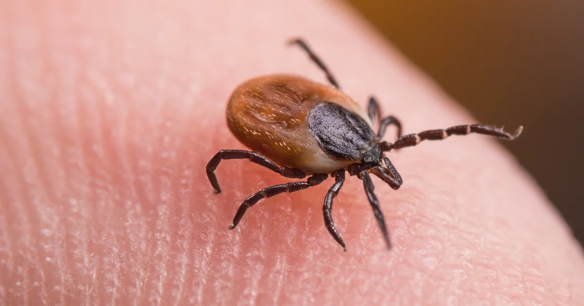 21 yaşındaki genç hayatını kaybetti