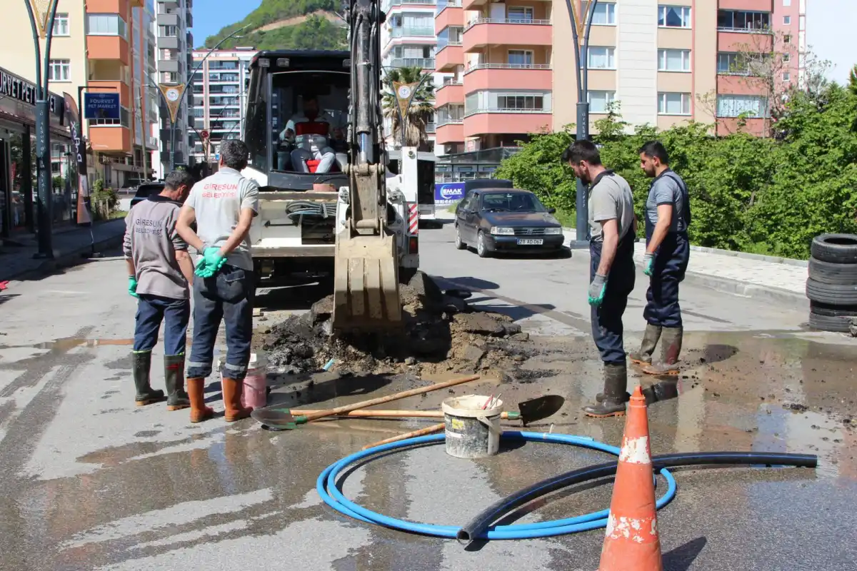 Giresun'un mahalleleri yaza hazırlanıyor
