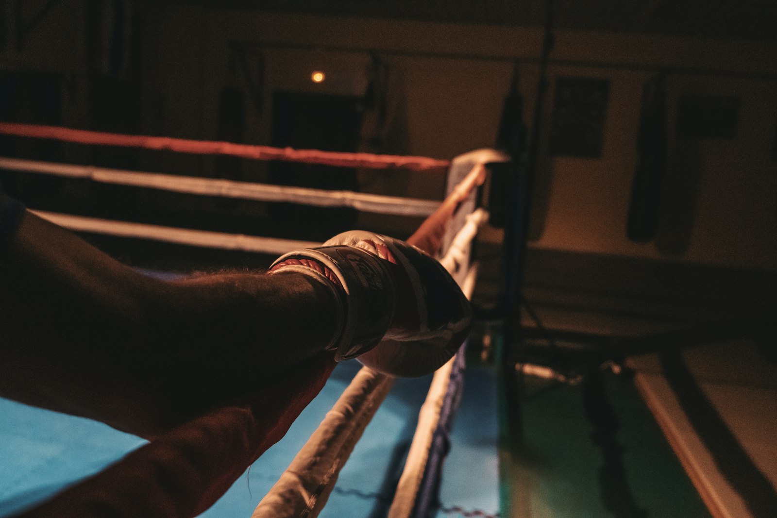 Kıck Boks culardan haberi